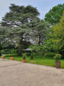 Maisons de vacances Douceurs des vignes du Vivian : photos des chambres