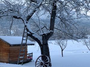 B&B / Chambres d'hotes L'Escale en Ubaye : photos des chambres