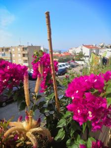 Apartment Lukas Galileo Izuzetan
