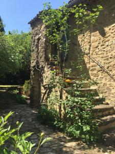 Maisons de vacances Gite Petite Maison Le Jardin : photos des chambres