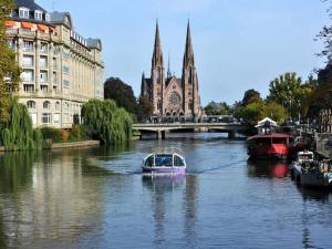 Appartements Alsace Bas-Rhin Logement independant avec piscine privee : photos des chambres