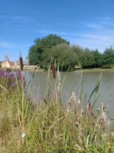 Maisons de vacances Maison de campagne, en Sologne : photos des chambres