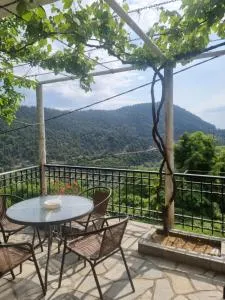 Zeus Apartman - Panagia