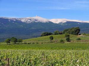 Petit gite de Provence