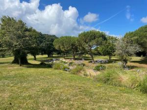 Campings DAMONA LODGES : photos des chambres