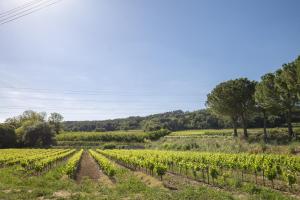 Maisons de vacances Gite Tresques : photos des chambres