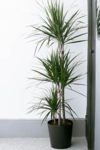 Peaceful Apartment - Dedicated Free Parking - Walk to Centre, Uni, Hosp - Business and Leisure - Contact For Long Stays