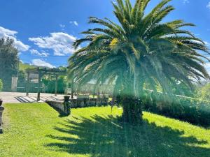 El palacio de Liaño pool chillout bbq