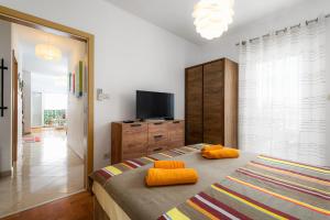 Apartment Ares 13 in Umag center