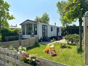 Chalet 557 op Recreatiepark De Wielen - Valkoog