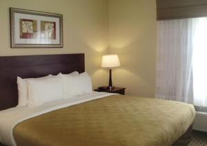 King Studio Suite - Non-Smoking room in MainStay Suites Meridian