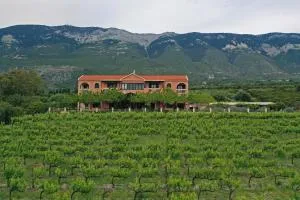 Stella Vineyard - Lourdata