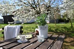 Jázmin vendégház és 2 fős stúdió apartman - Hásságy