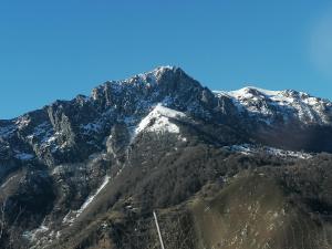 Hello Astur Green