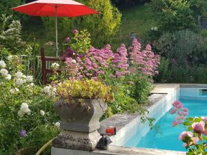Appartements gite du merle : photos des chambres