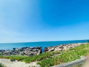 Croisette Appartement rez de jardin accès direct plage !