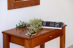 Nikiana Club - Studio 4