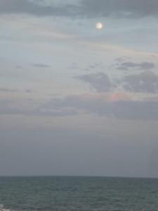 Un séjour les pieds dans leau