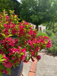 B&B / Chambres d'hotes Chambres d'Hotes Les Bournais - Le Clos Milady : photos des chambres