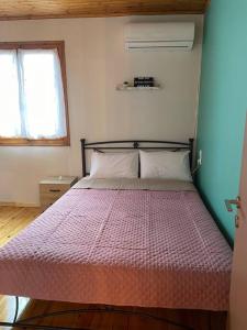 Politis wooden house