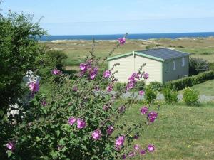 Chalets Au Soleil Couchant - Camping Bel Sito Natura 2 000 : photos des chambres