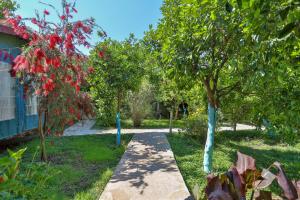 Cinderella Pension & Bungalow