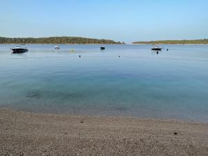 MiraMore - Design Apartments