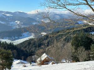 B&B / Chambres d'hotes Chalet La Petite Ourse : photos des chambres