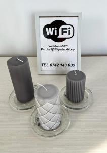 Penthouse Luxury Falticeni