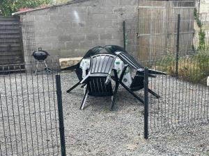 Maisons de vacances Maison Le grand sapin , 5min du zoo parc de Beauval : photos des chambres