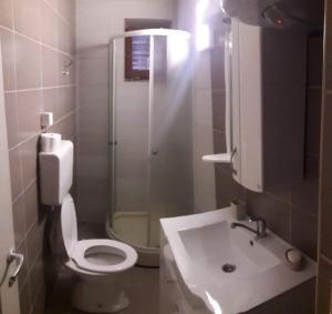 Apartmani Damjan Vlasinsko jezero