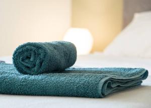 PENTHOUSE SUITE In the city center