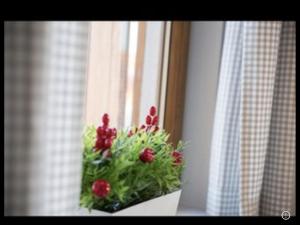 Kaszuby domek Czerwona Koza