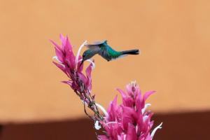 Finca Jardín del Agua