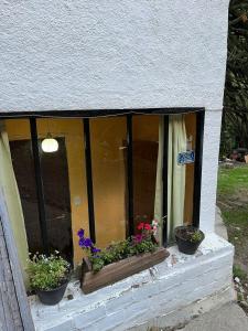 Monoambiente céntrico con hermoso patio