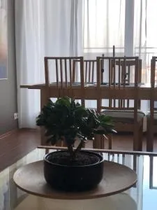 伊加索尔公寓 - 塞尔福斯