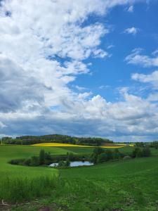 Agroturystyka Pod Lipą