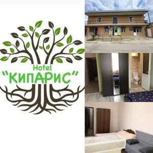 Cypress - 古达乌塔