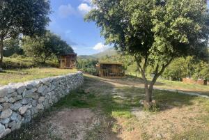 Lodges La Cabane de Mercone Crenu : photos des chambres