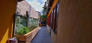 Auberges de jeunesse YASI Hostel : photos des chambres