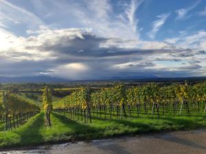 Apartment im alten Rathaus