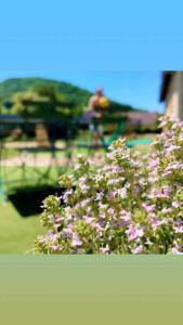 Maisons de vacances . Le Cocon . Gites Chez Morgane & Thomas : photos des chambres