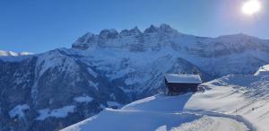 Chalet le Grenier des Crosets, Vue exceptionnelle sur les Dents du Midi