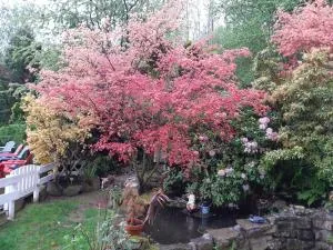 Studio à Ban de Sapt - Nayemont-les-Fosses