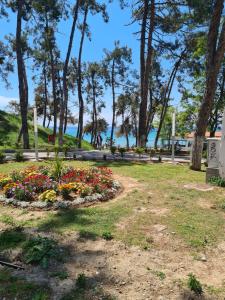 Blue Shell Apartment