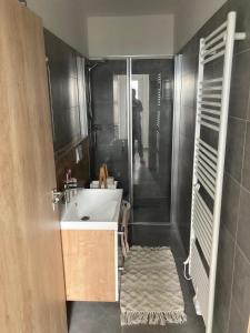 Blue apartment Lipno