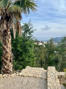 Appartements Les Mimosas : photos des chambres