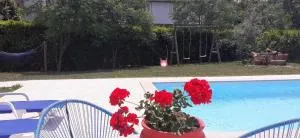 Villa Garden & Pool - Alojamentos - Celorico de Basto