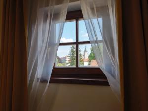 Double or Twin Room room in Hotel Antoň