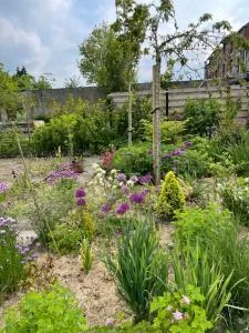 Les Pimprenelles - Bourseigne-Neuve